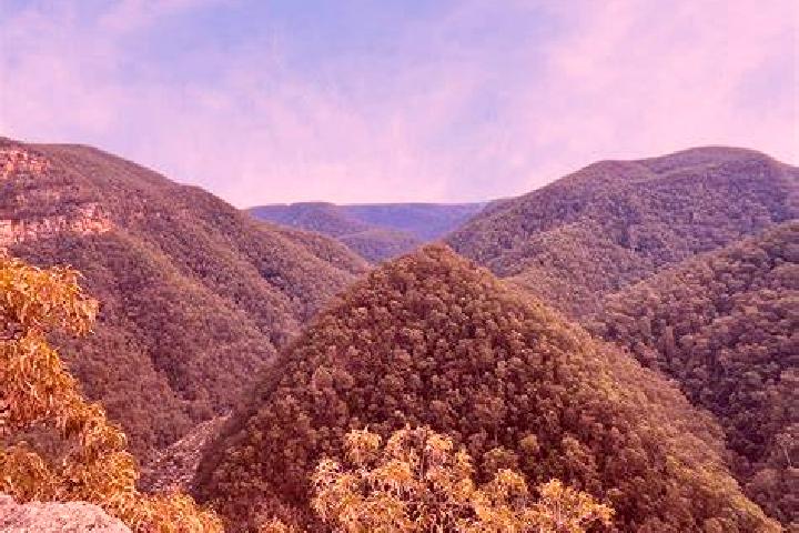 escort Grose Vale