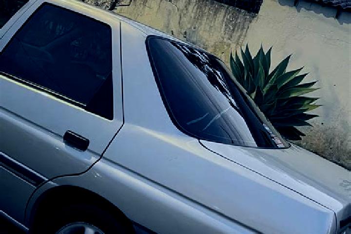 escort Guaratuba