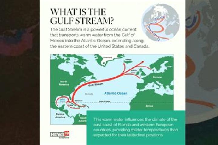 escort Gulf Stream