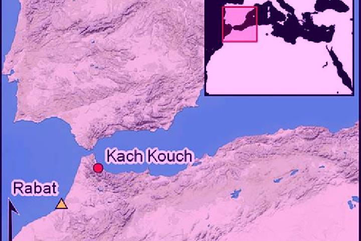 escort Gulishah Kach