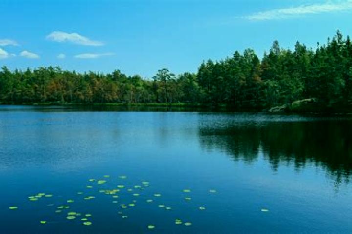 escort Gull Lake