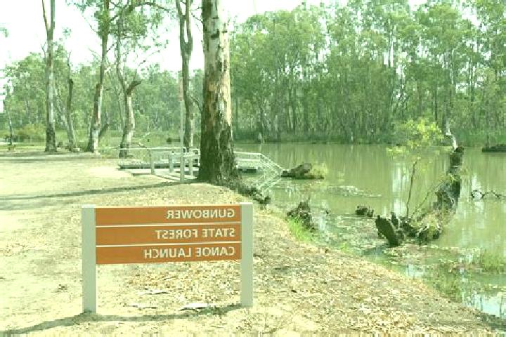 escort Gunbower