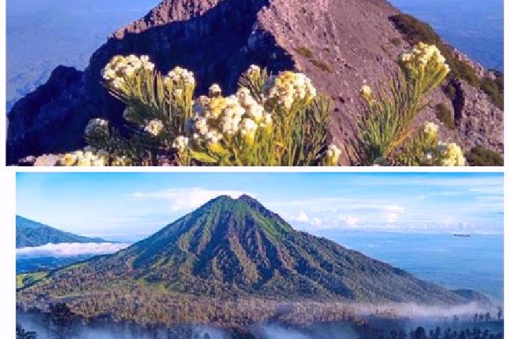 escort Gunung Timur