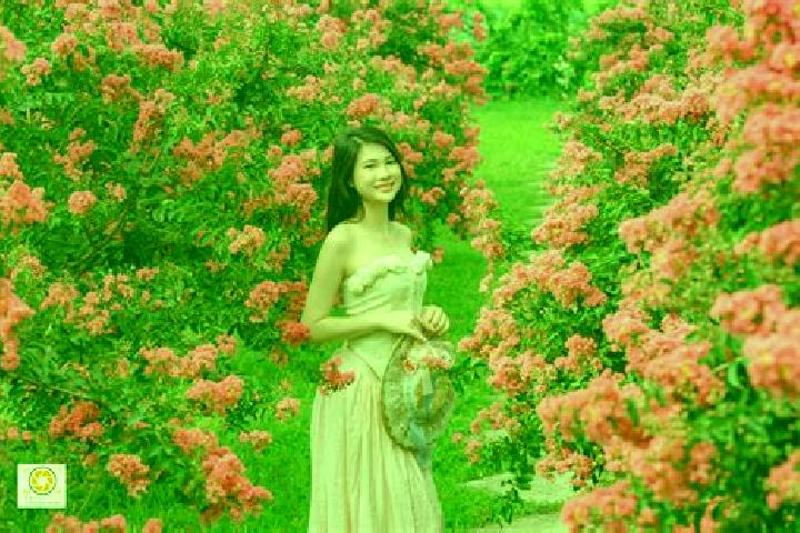escort Ha Hoa