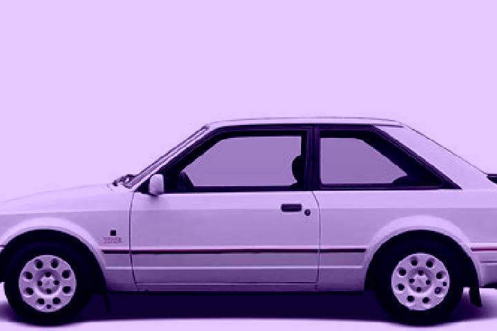 escort Hadjout