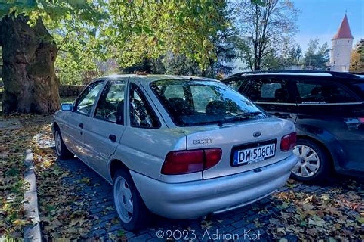 escort Hadlikon