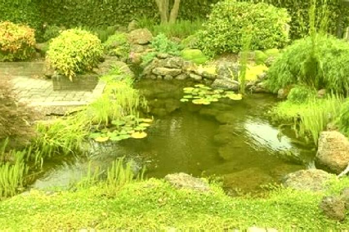 escort Half Way Pond