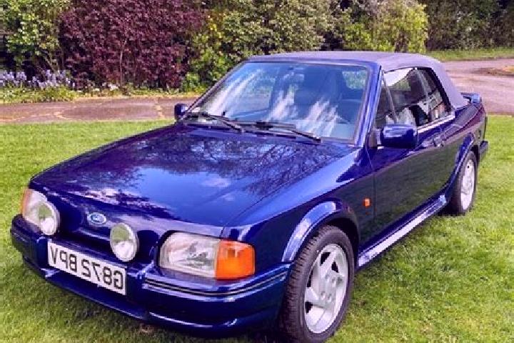 escort Halvergate