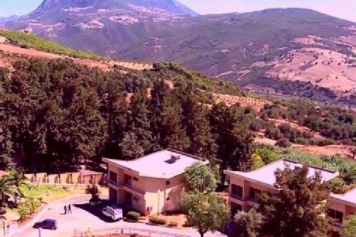 escort Hammam Righa
