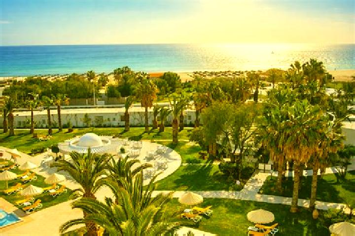 escort Hammamet