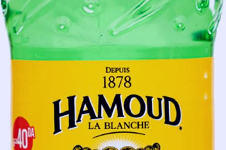 escort Hamoud