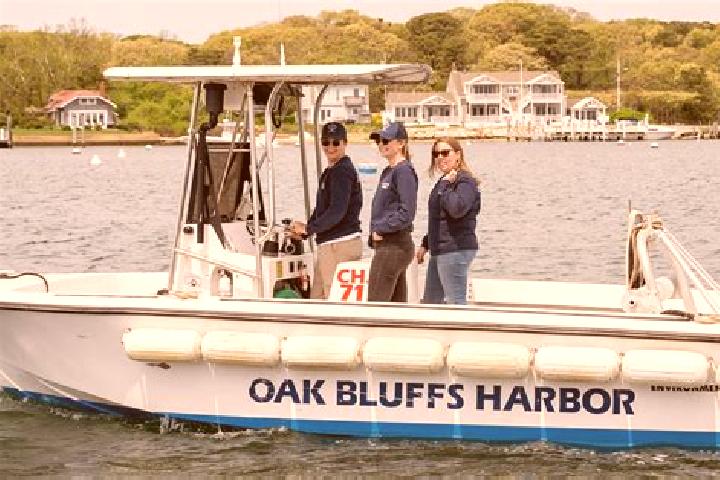 escort Harbor Bluffs