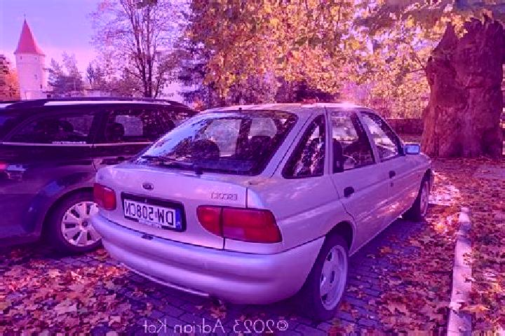 escort Haselund