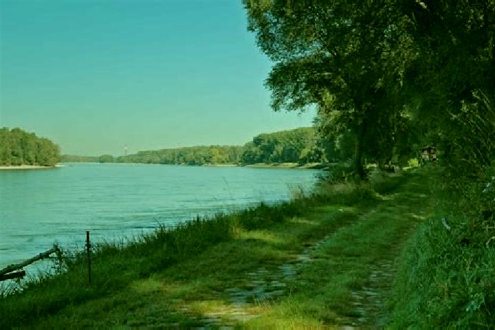 escort Haslau an der Donau