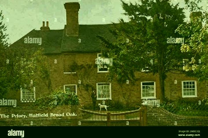 escort Hatfield Broad Oak