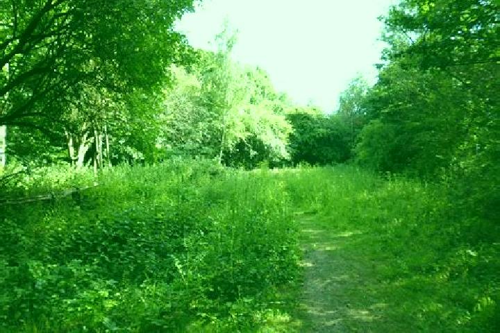 escort Hatfield Heath