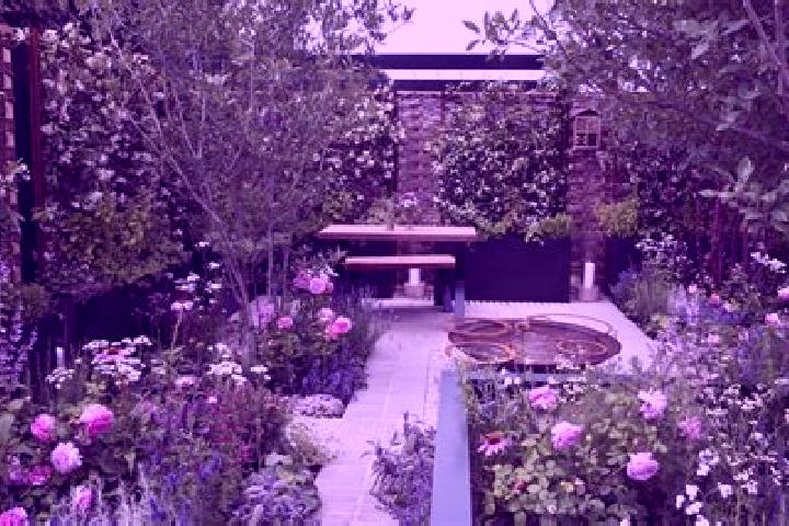 escort Healthy Gardens