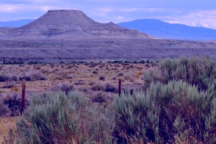 escort Heart Butte