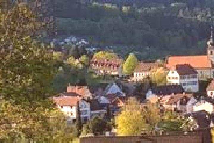 escort Heiligkreuzsteinach