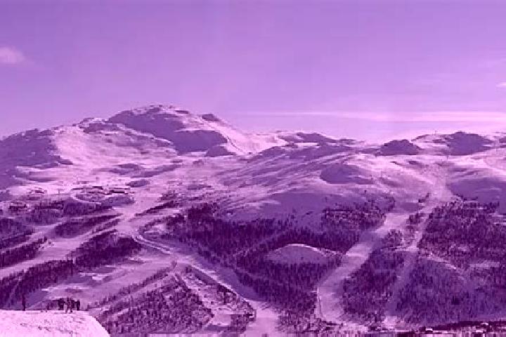 escort Hemsedal