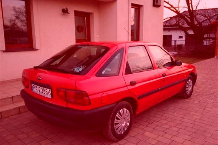 escort Heretaunga