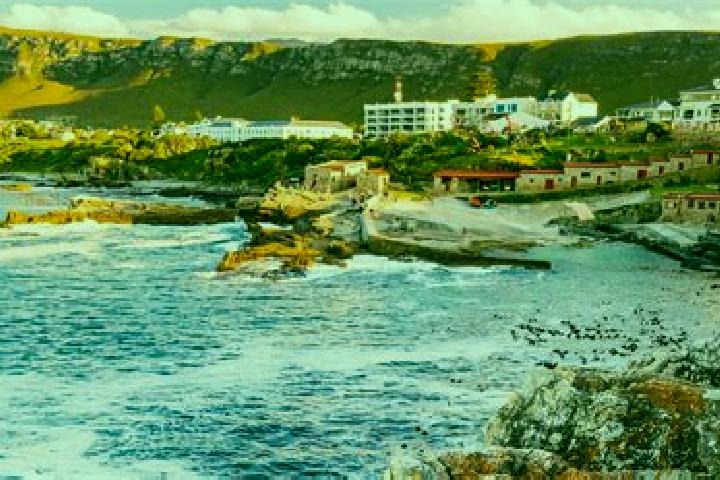 escort Hermanus