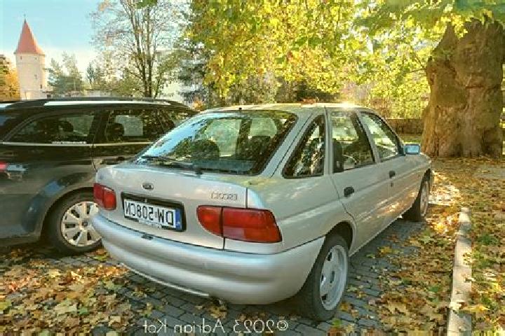 escort Hermeziu