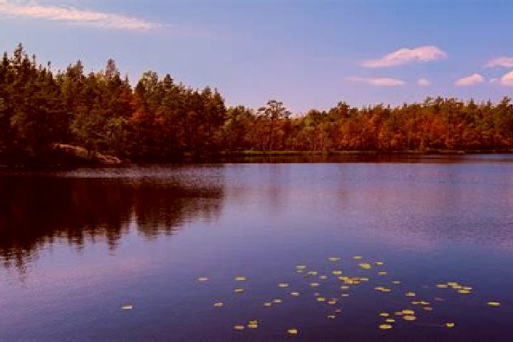 escort Heron Lake