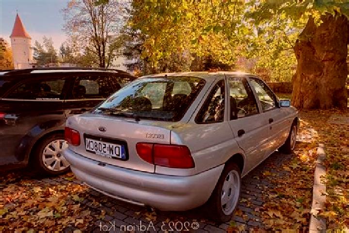 escort Herzfeld