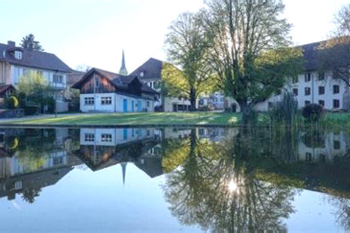 escort Herzogenbuchsee