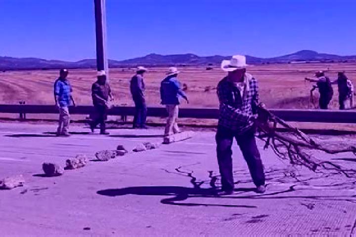 escort Hidalgo Norte