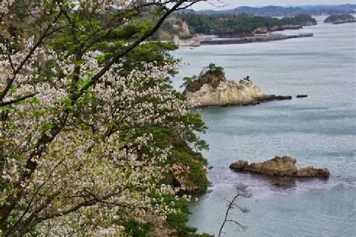 escort Higashimatsushima