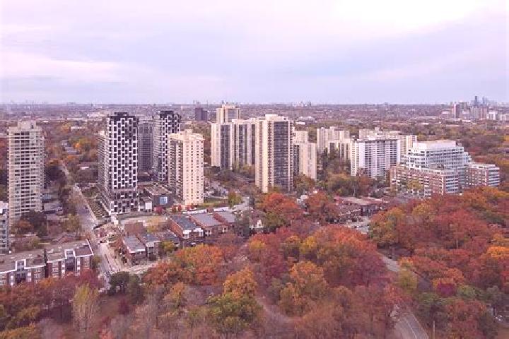 escort High Park North