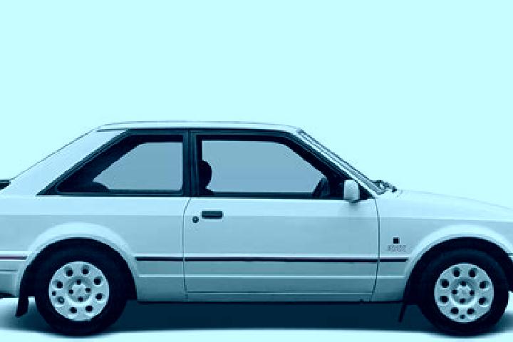 escort Hinte