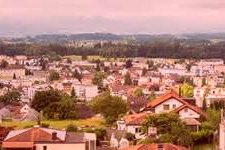 escort Hinwil