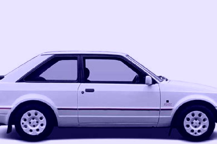 escort Hirschhorn