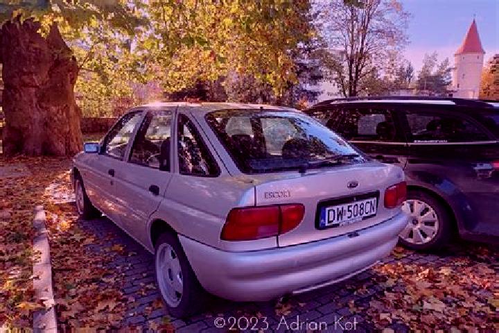 escort Hohnhorst