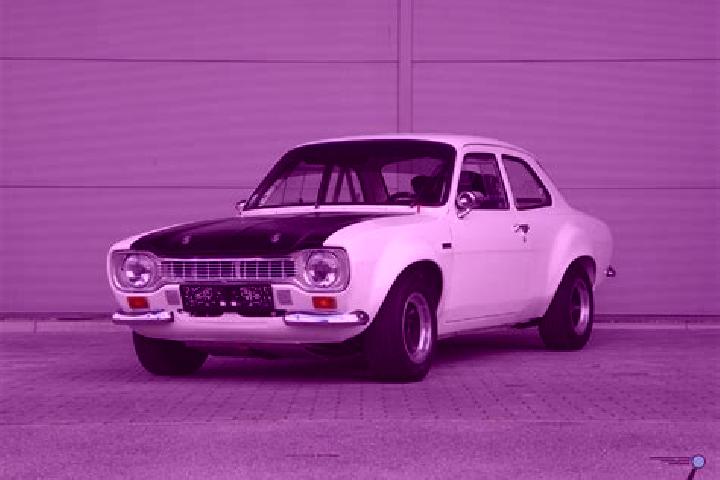 escort Holdingford