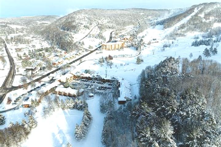 escort Holiday Valley