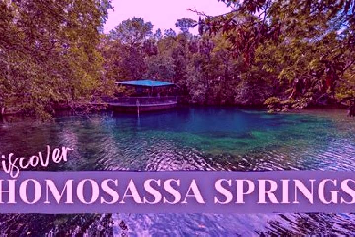 escort Homosassa
