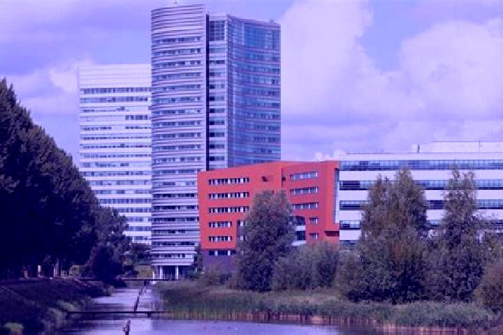 escort Hoofddorp