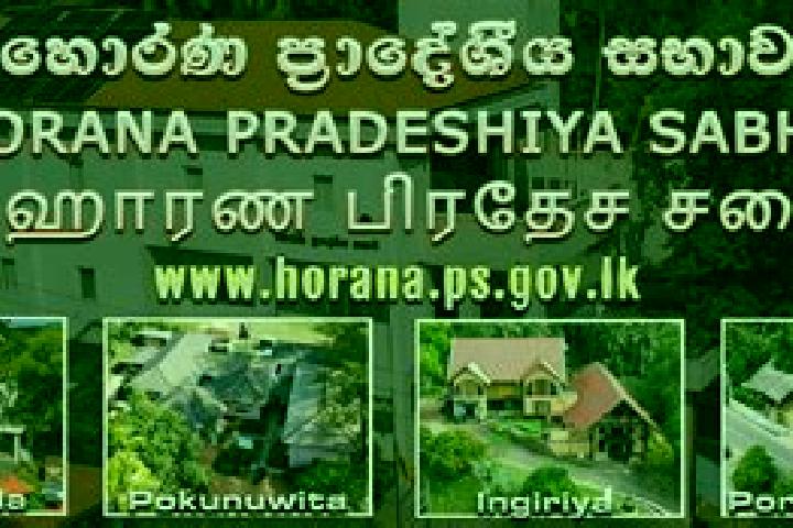 escort Horana South