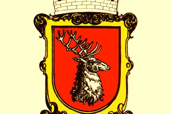 escort Horni Jeleni