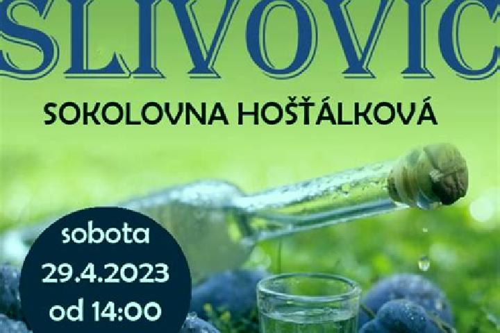 escort Hostalkova