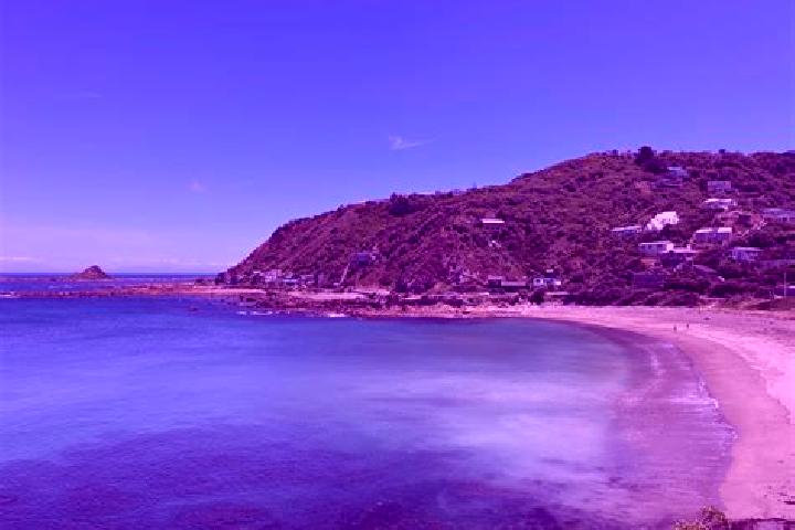 escort Houghton Bay