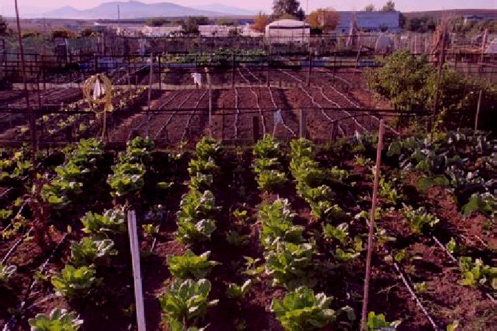 escort Huerta de Arriba
