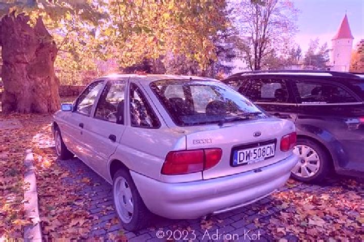 escort Huttwilen
