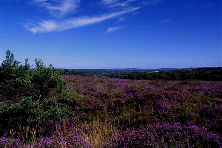 escort Hyde Heath