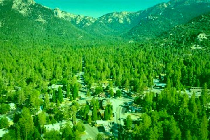 escort Idyllwild-Pine Cove
