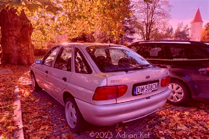 escort Ilfeld